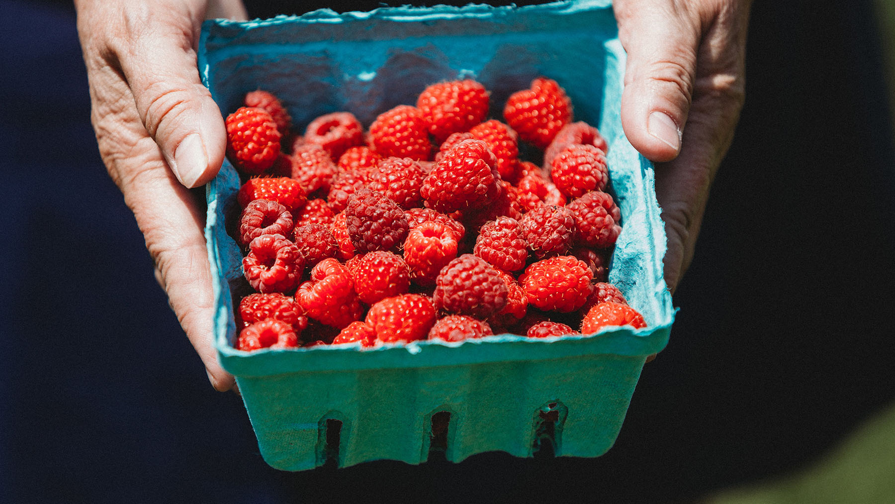 Picking Your Own Raspberries - NARBA