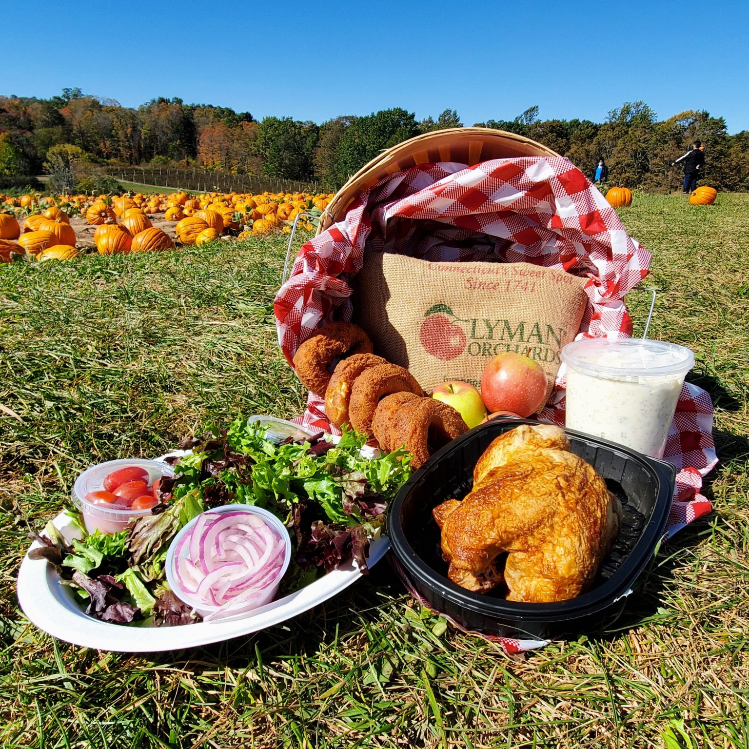 Lyman's Perfectly Prepared Picnic Basket Lyman Orchards