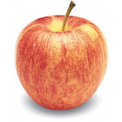 Gala apples 🍎 🌟 Discover the crunch and sweetness of this popular variety