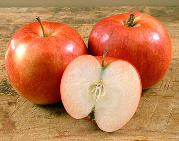 Ida Red Apples - Apple Holler