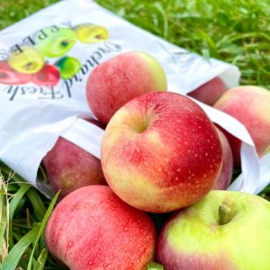 Fresh Mcintosh Apples, 5 lbs Tote